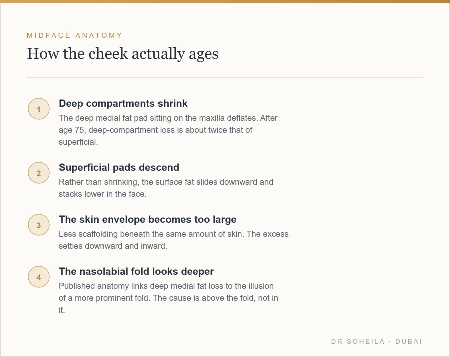 How the midface ages: deep fat loss and superficial descent