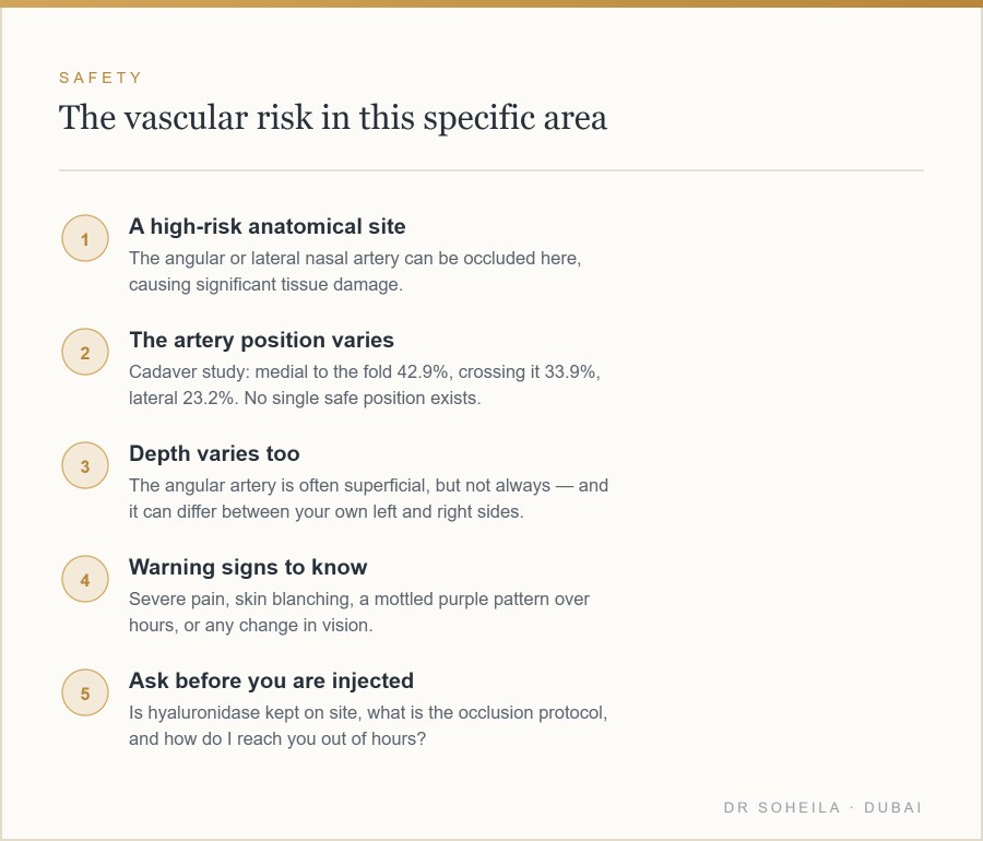 Vascular anatomy and risk in nasolabial fold filler injection