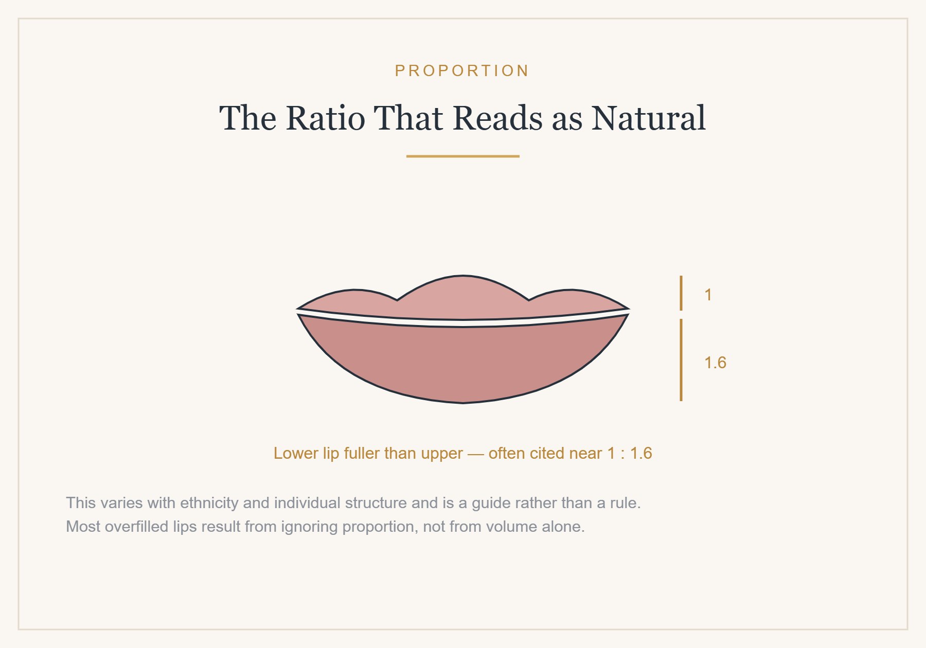 Lip proportion: the upper to lower ratio that reads as natural