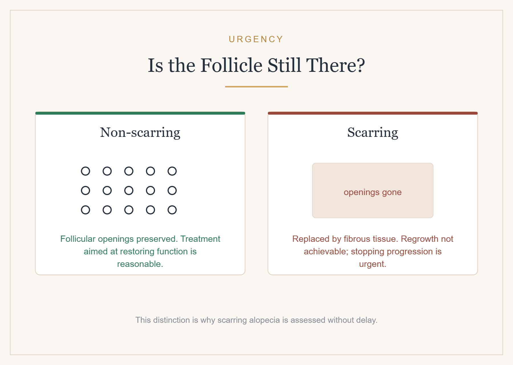 Scarring versus non-scarring: the distinction that determines urgency